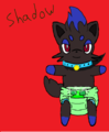 Padded Shadow The Zorua's Avatar