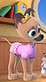 IMG_6757.jpeg