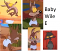 Naked_Coyote.png