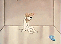 toon_1348711890483_Dollar_being-diaper.gif