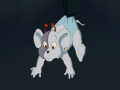 vlcsnap-2010-09-04-08h36m30s135.png