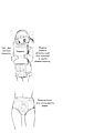 img000005.png