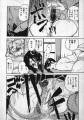 rid_Shiroi_Gunpan9_1996.jpg
