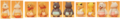 Party_Animals_Wearing_Diapers.png