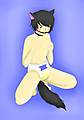 sai.jpg