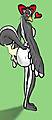skunk_bird.jpg