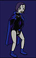 raven211.jpg