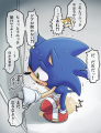 shaa.png
