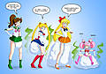 sailorscouts.jpg