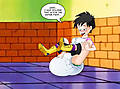 videl.jpg