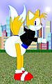 Tails_in_a_hoodie.png